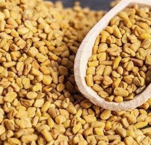 Fenugreek